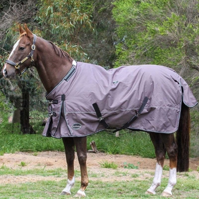 Custom High-Quality UV Protection Breathable Horse Sheet | OEM/ODM Sweat-Absorbing Sun-Proof Horse Rug 02