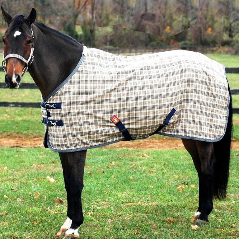 heavy-duty Winter Turnout Rug
