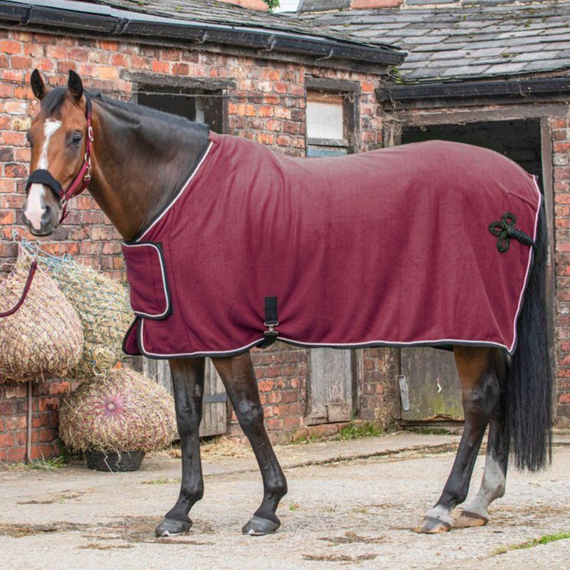 indoor-outdoor Horse Blanket