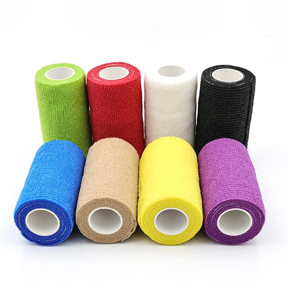 leg Protection For Training Horses