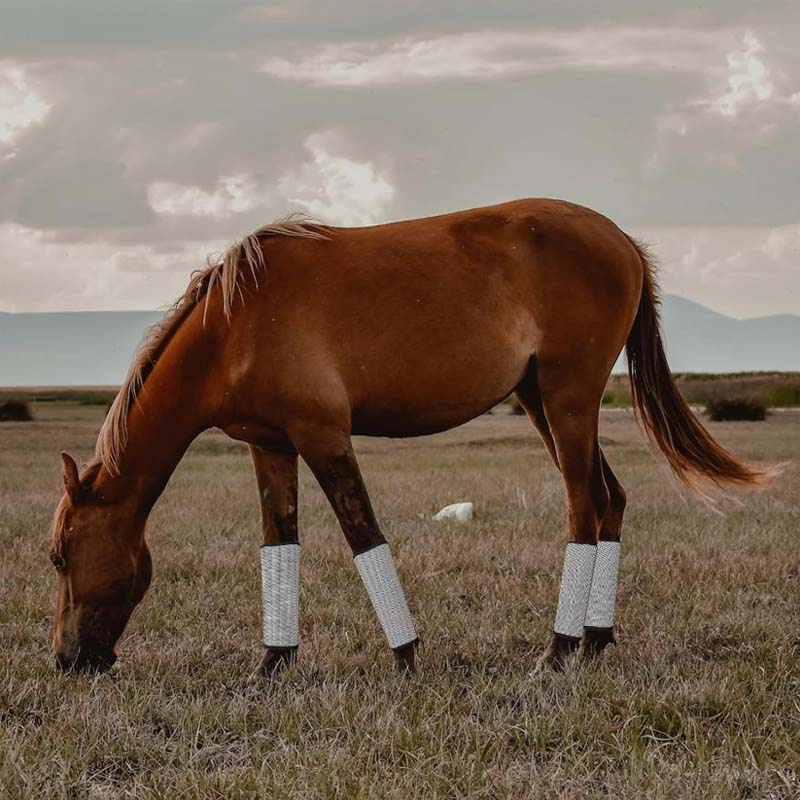 Horse Sports Medicine Boots
