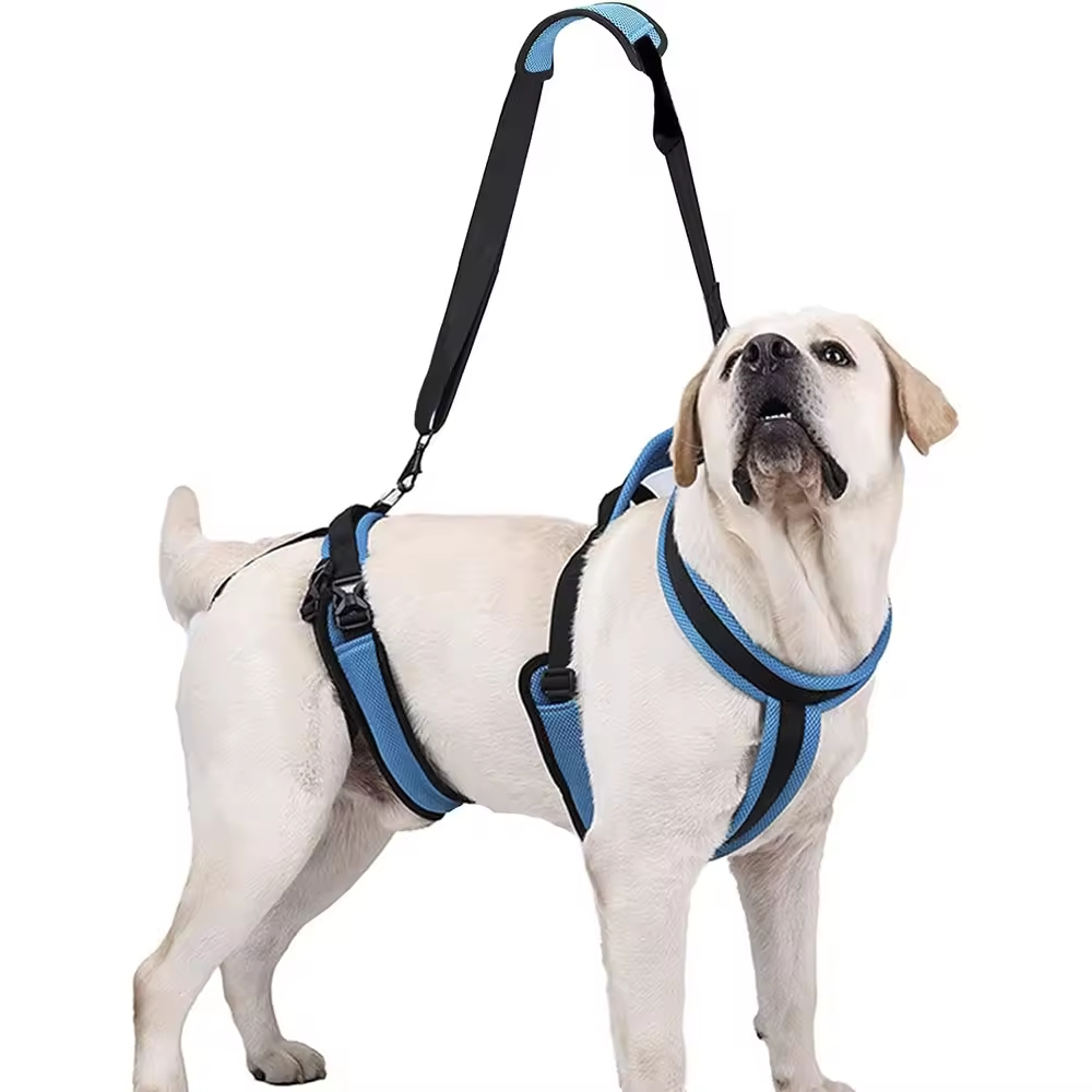 Dog Lift Harness