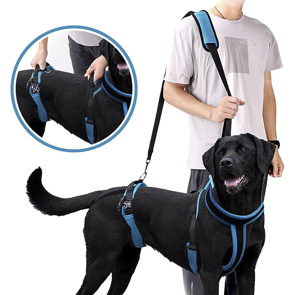 dog Harness