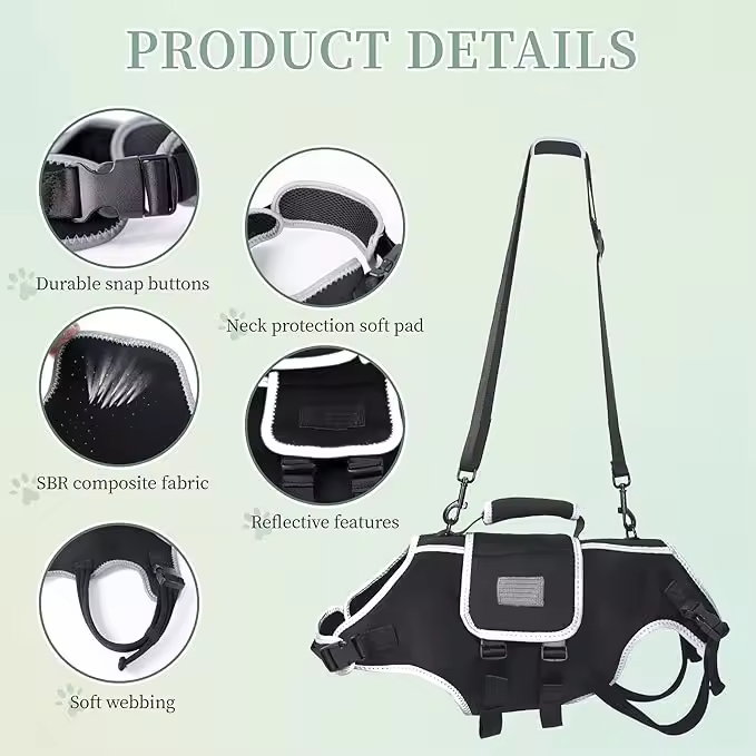 dog spine support brace