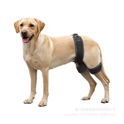 Dog Hip Dysplasia Orthotics Brace for Back Hind Rear Leg Torn ACL Tear 01