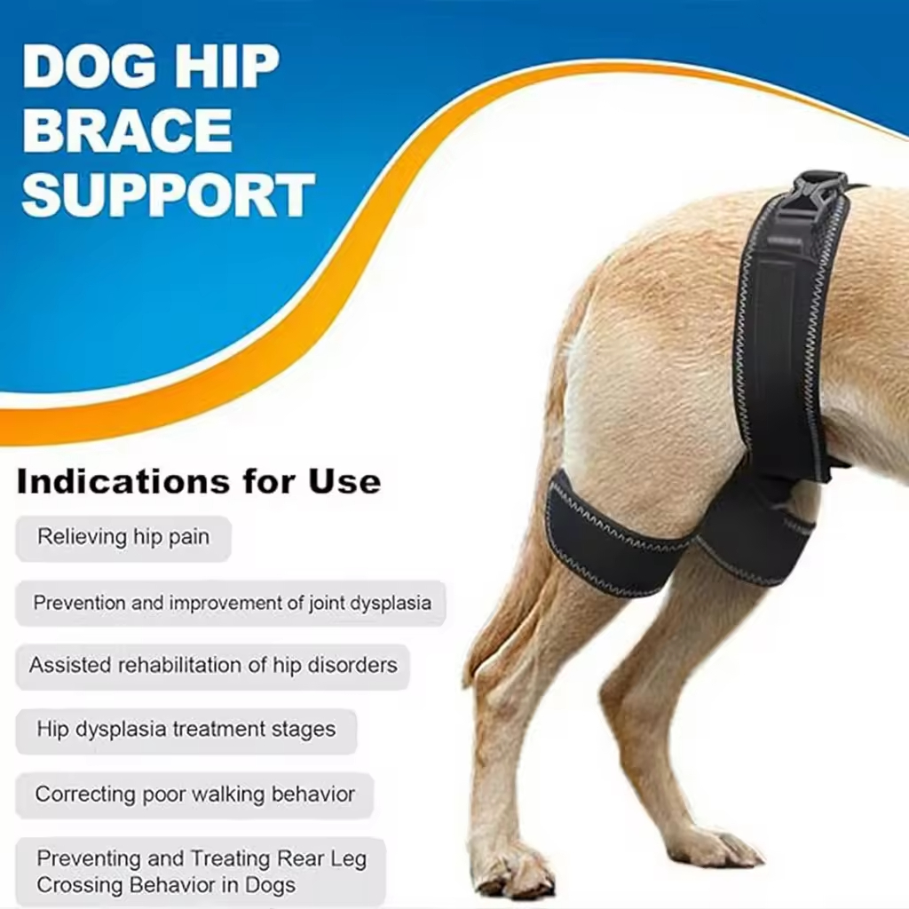 dog hip dysplasia brace