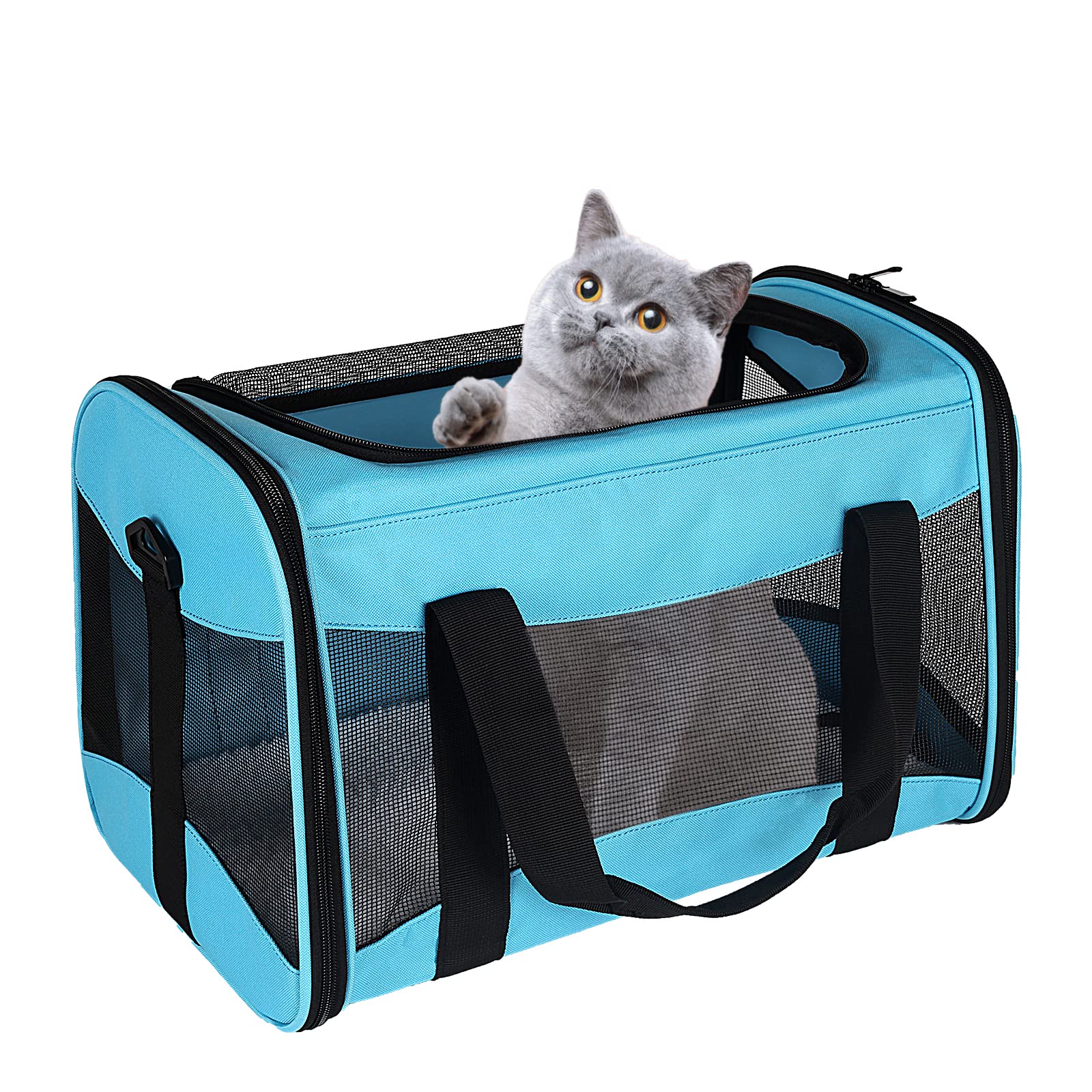 Airline Approved Soft-Sided Pet Carrier Collapsible Foldable Handheld Large Capacity for Small Medium Cats Dogs Up to 15 Lbs