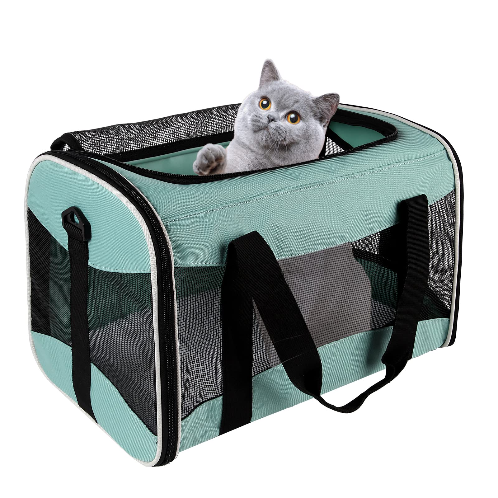 Airline Approved Soft-Sided Pet Carrier Collapsible Foldable Handheld Large Capacity for Small Medium Cats Dogs Up to 15 Lbs