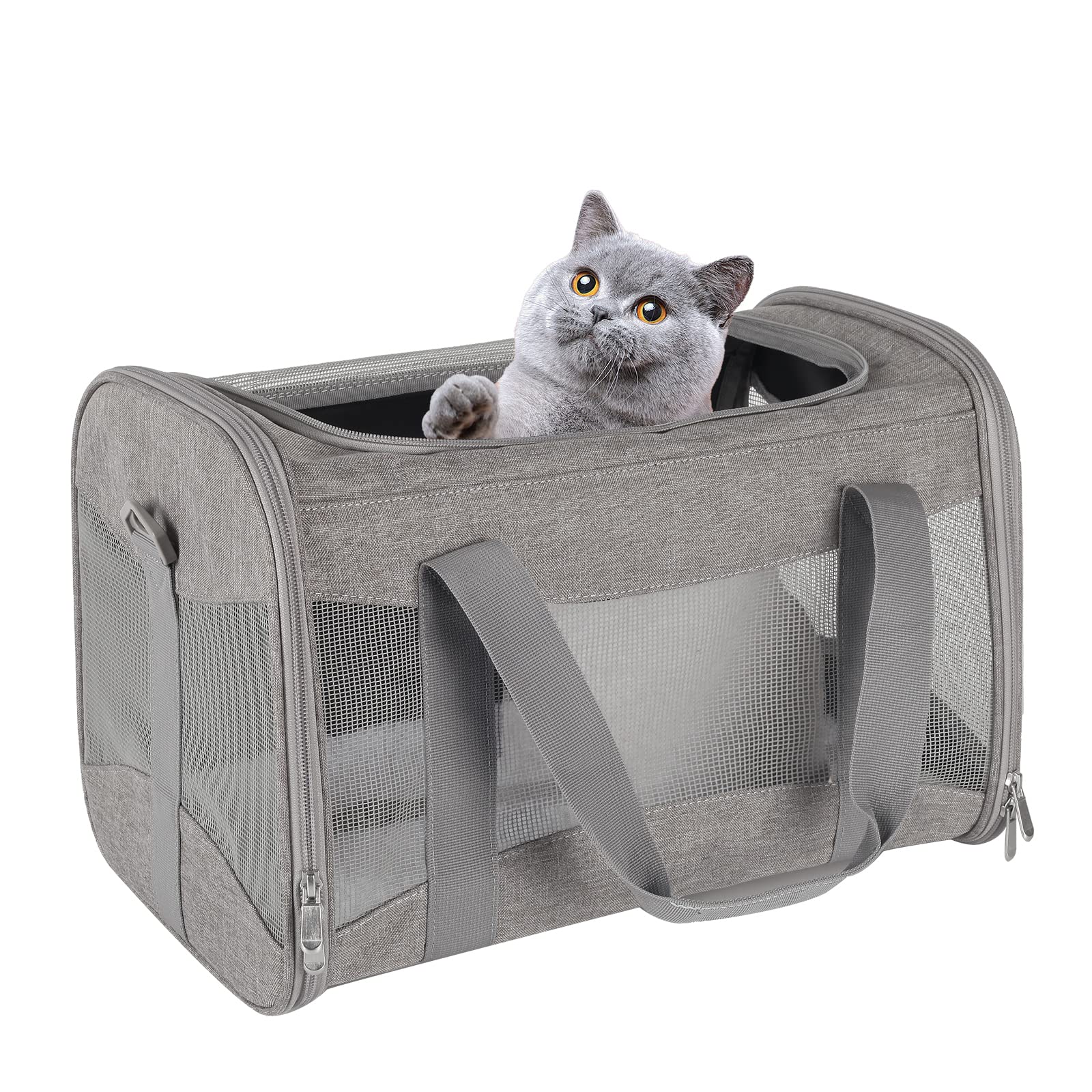 Airline Approved Soft-Sided Pet Carrier Collapsible Foldable Handheld Large Capacity for Small Medium Cats Dogs Up to 15 Lbs
