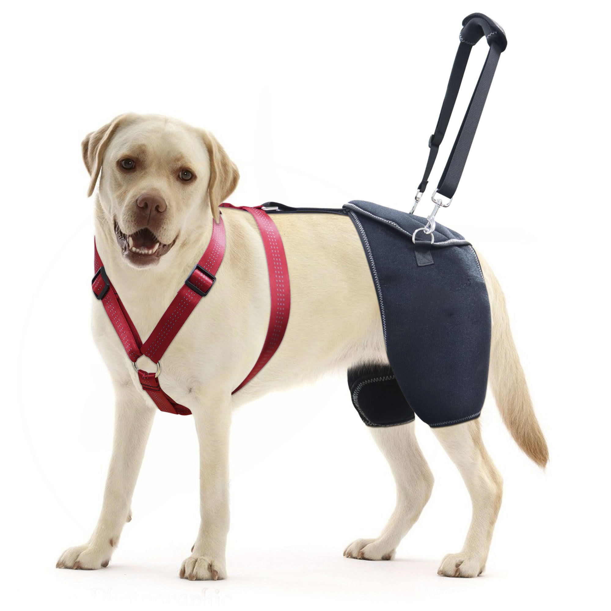 Dog Hip Support Brace for Hip dysplasia 