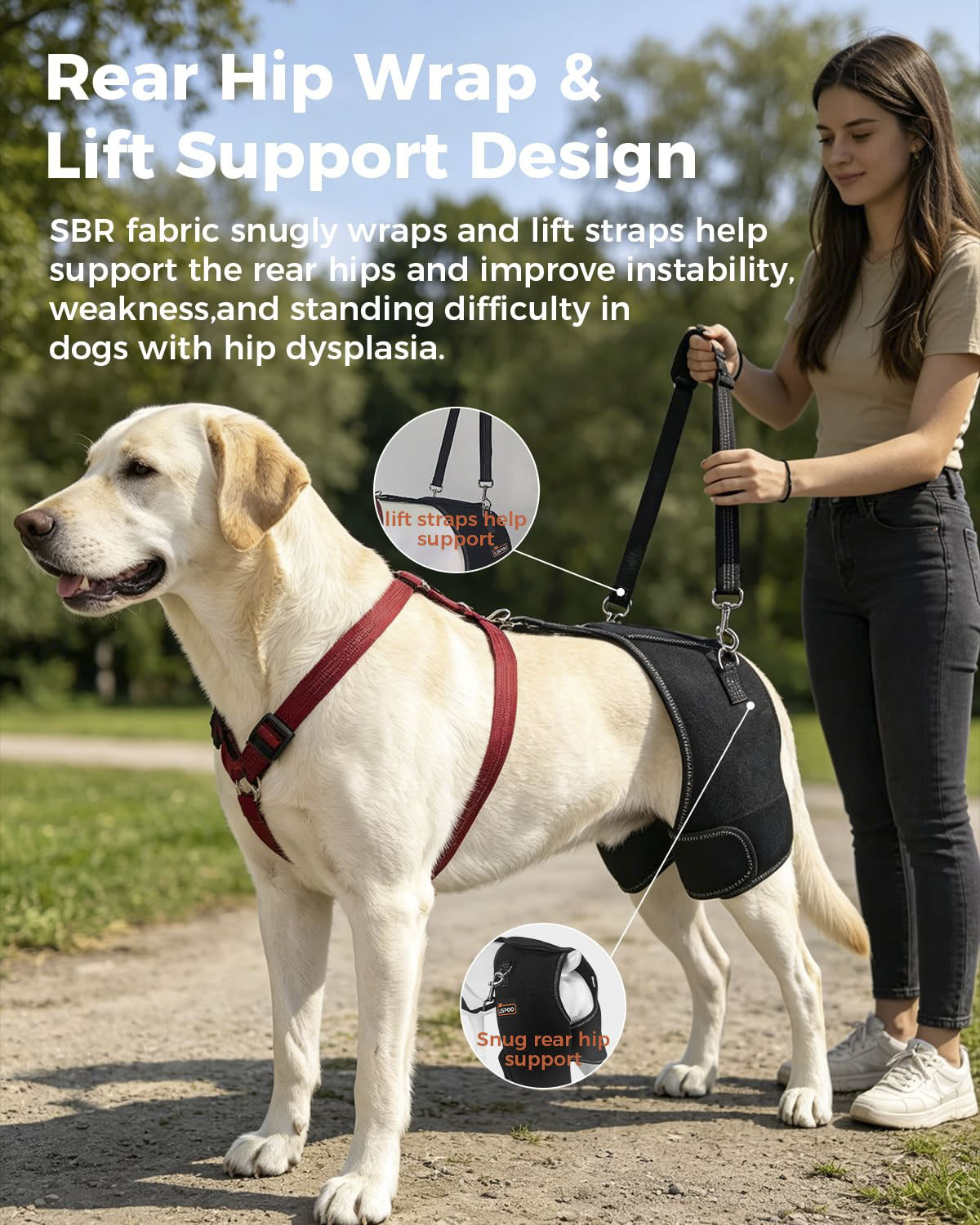 Dog Hip Support Brace for Hip dysplasia 