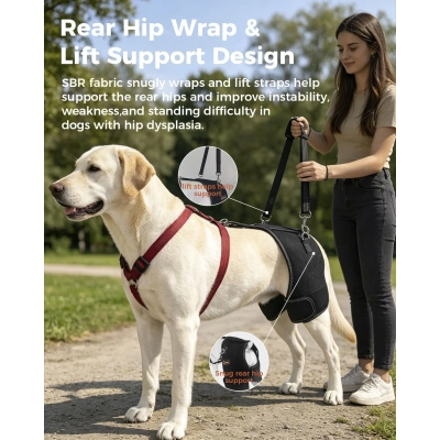 Dog Hip Support Brace for Hip dysplasia  02