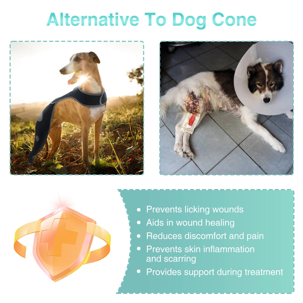 Anti-Lick Dog Double Knee Brace for Dogs Back Leg with Reflective Safety Dot