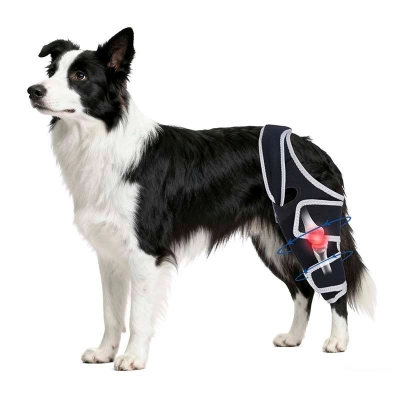 Canine Single Hind/Front Support Brace for Arthritis 01