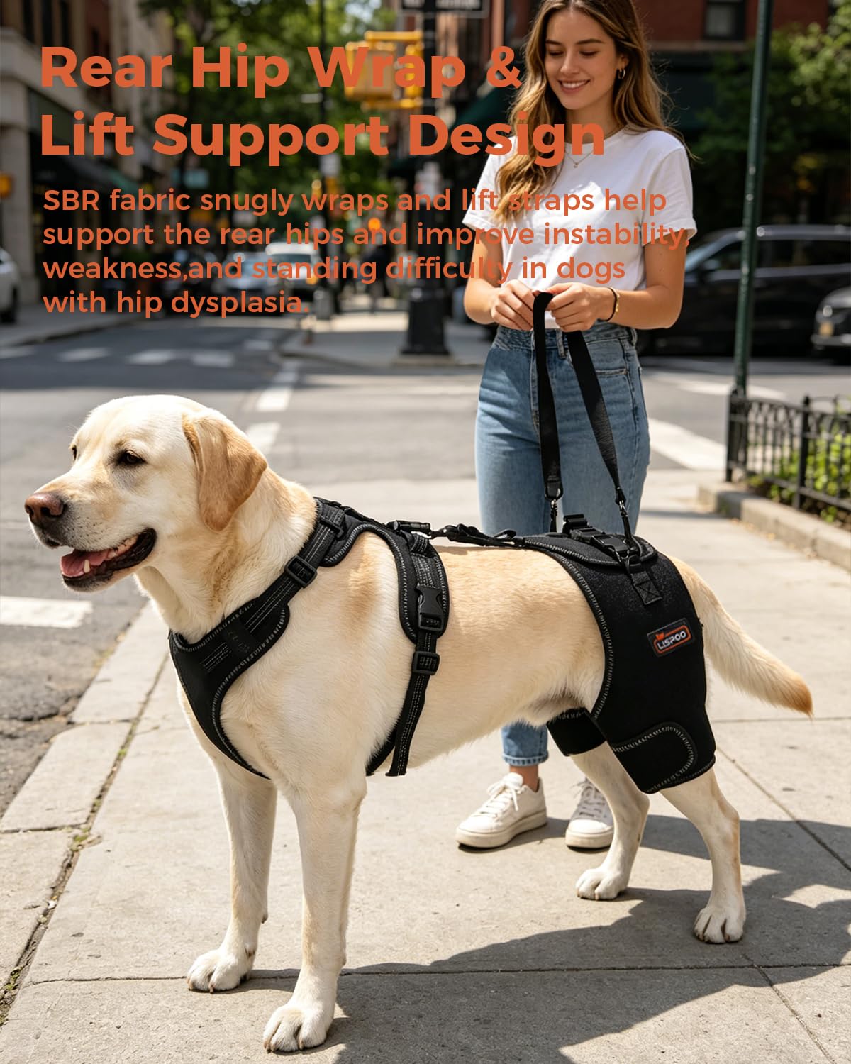 Dobermann Hip Stabilizer for Dog Hip Dysplasia Brace