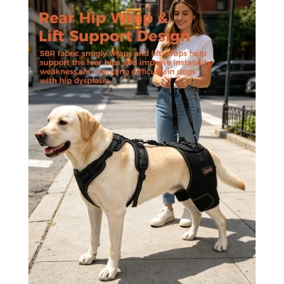 Dobermann Hip Stabilizer for Dog Hip Dysplasia Brace 02
