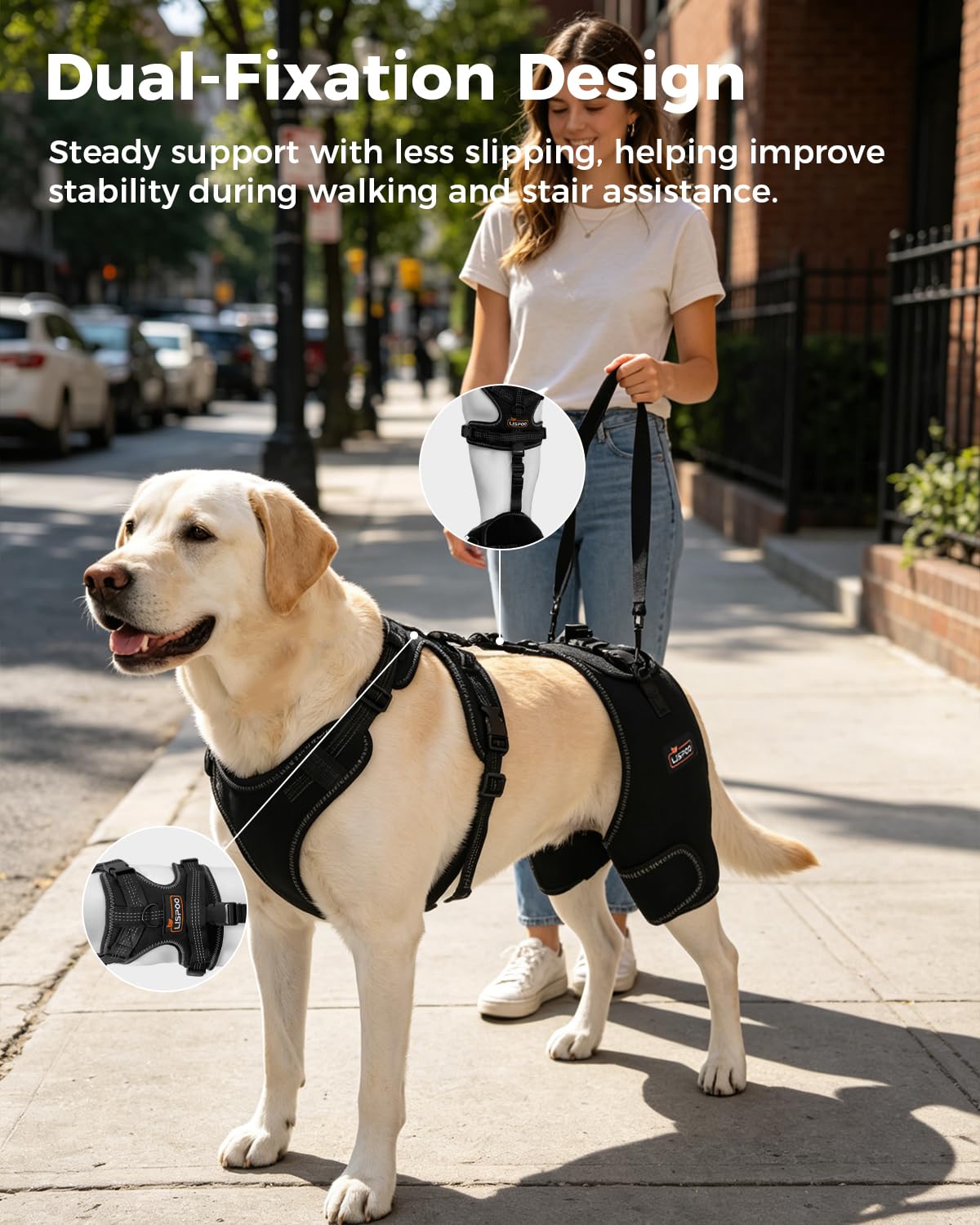 Dobermann Hip Stabilizer for Dog Hip Dysplasia Brace