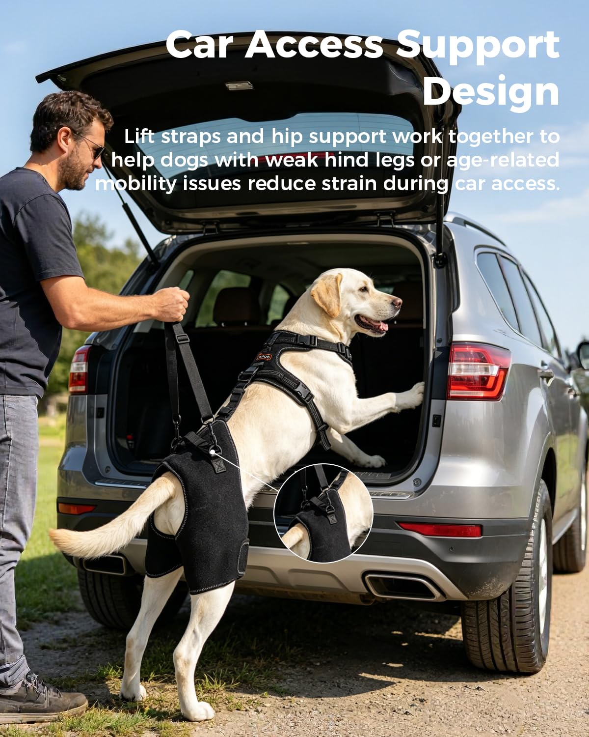 Dobermann Hip Stabilizer for Dog Hip Dysplasia Brace