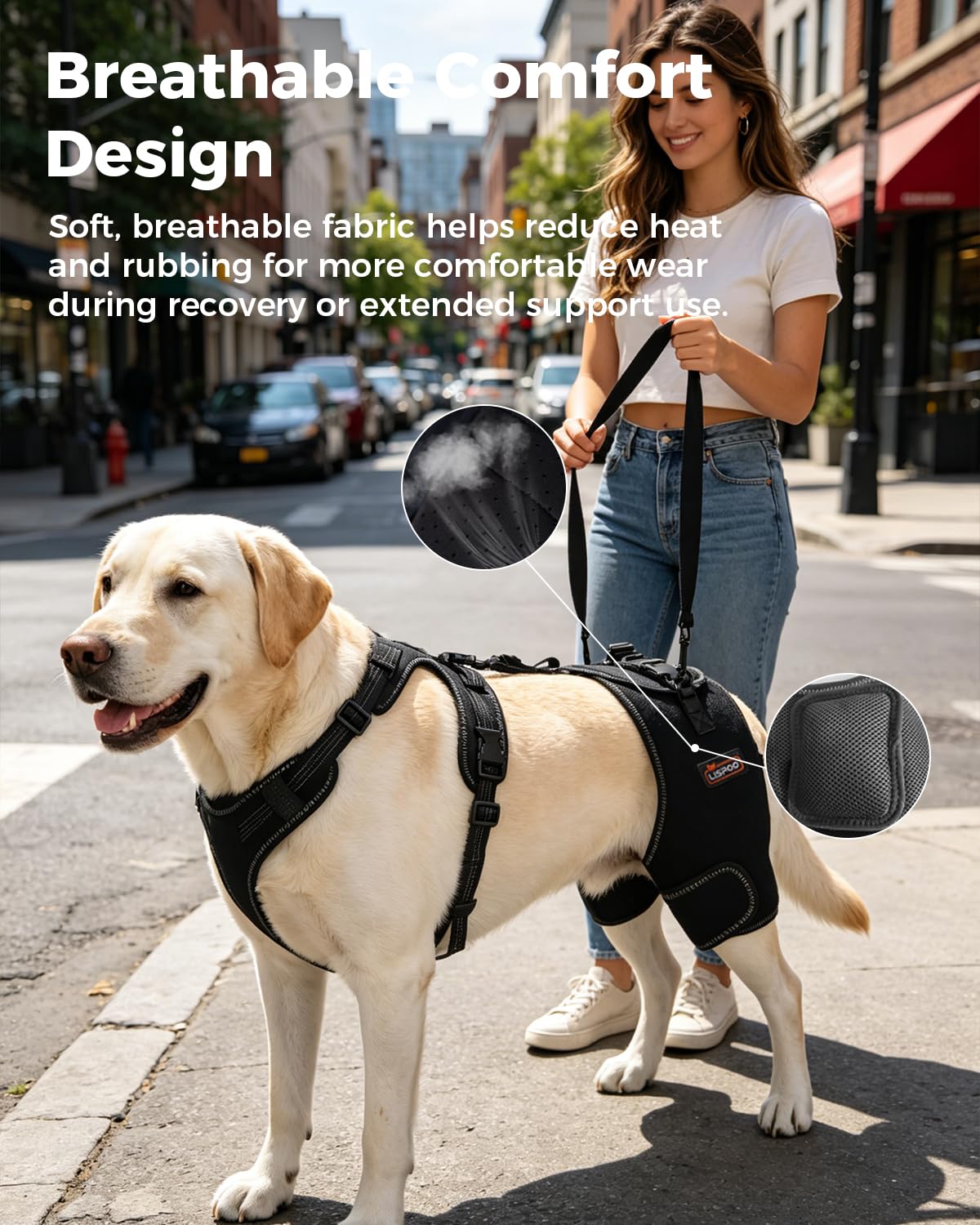 Dobermann Hip Stabilizer for Dog Hip Dysplasia Brace