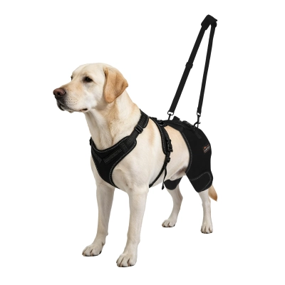 Dobermann Hip Stabilizer for Dog Hip Dysplasia Brace 01