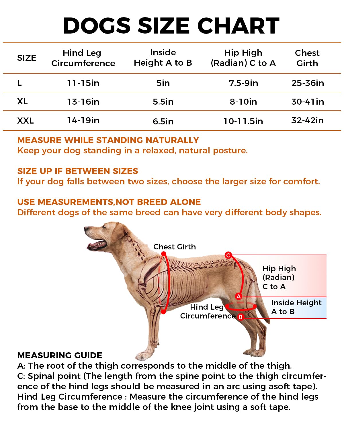 Dobermann Hip Stabilizer for Dog Hip Dysplasia Brace