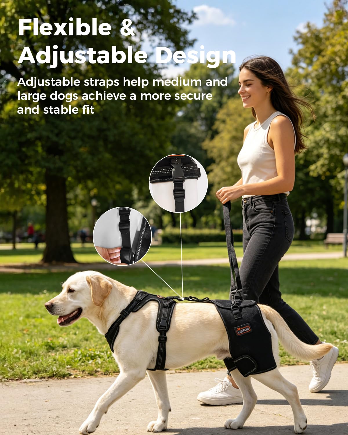 Dobermann Hip Stabilizer for Dog Hip Dysplasia Brace