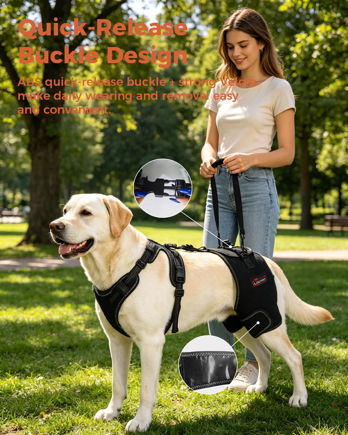Dobermann Hip Stabilizer for Dog Hip Dysplasia Brace