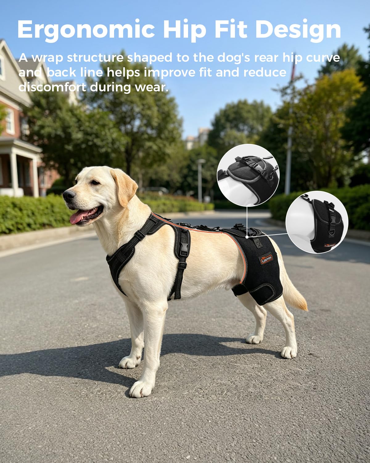 Dobermann Hip Stabilizer for Dog Hip Dysplasia Brace