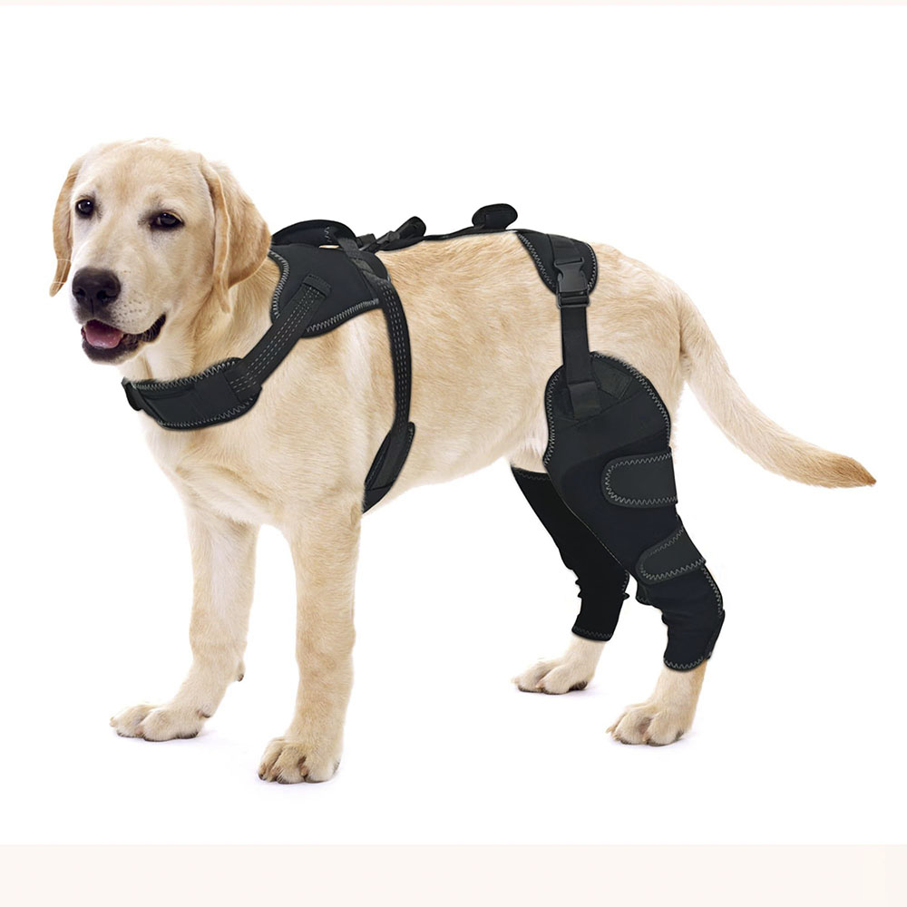 New-Design Chest Vest Dog Double Knee Brace for Torn ACL