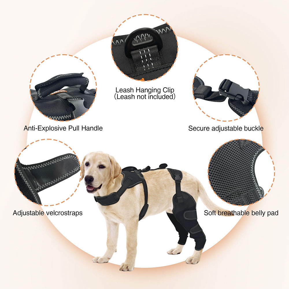 New-Design Chest Vest Dog Double Knee Brace for Torn ACL