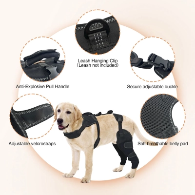 New-Design Chest Vest Dog Double Knee Brace for Torn ACL 02
