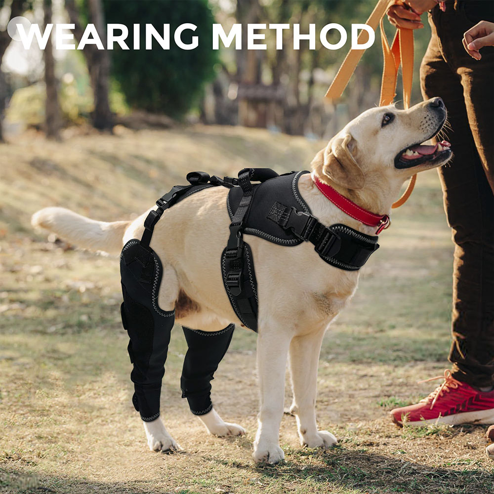 New-Design Chest Vest Dog Double Knee Brace for Torn ACL