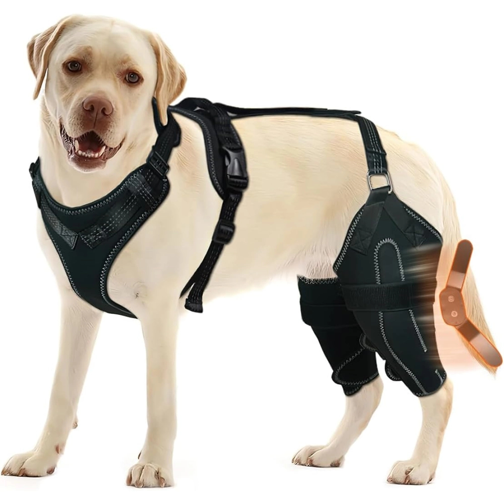 Updated Dog Knee Brace for ACL Injury with Reflective Trim