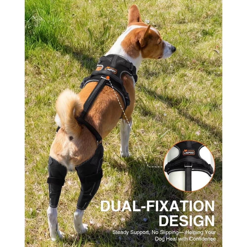 Updated Dog Knee Brace for ACL Injury with Reflective Trim