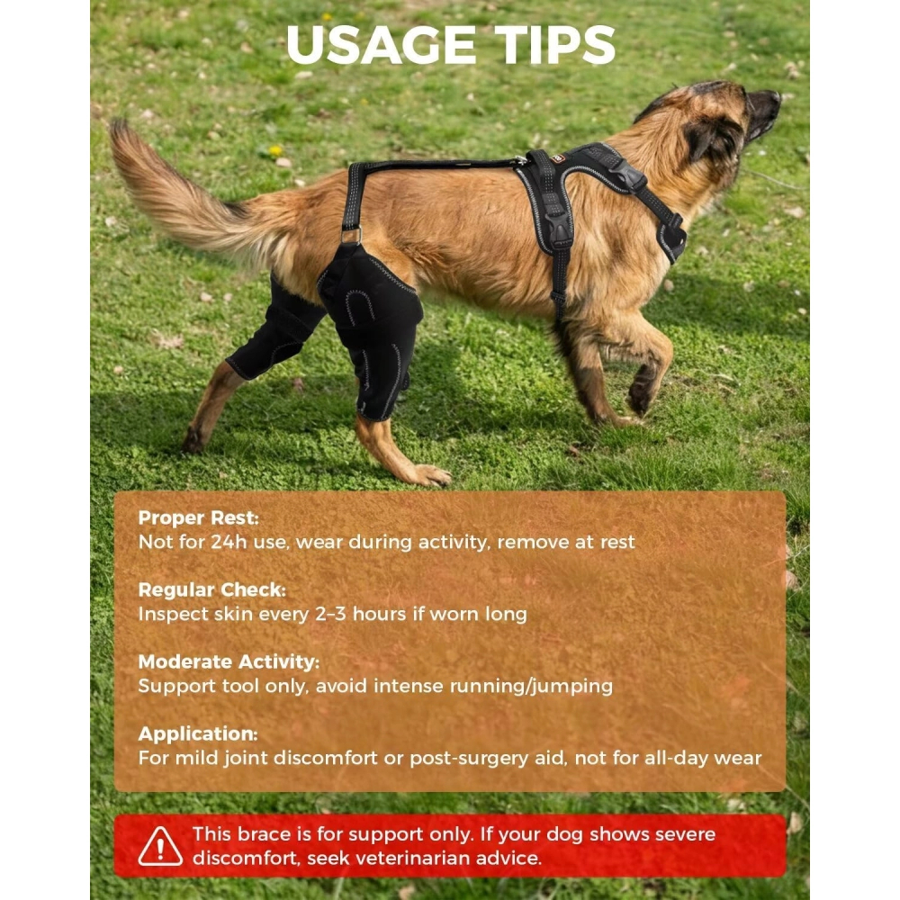 Updated Dog Knee Brace for ACL Injury with Reflective Trim