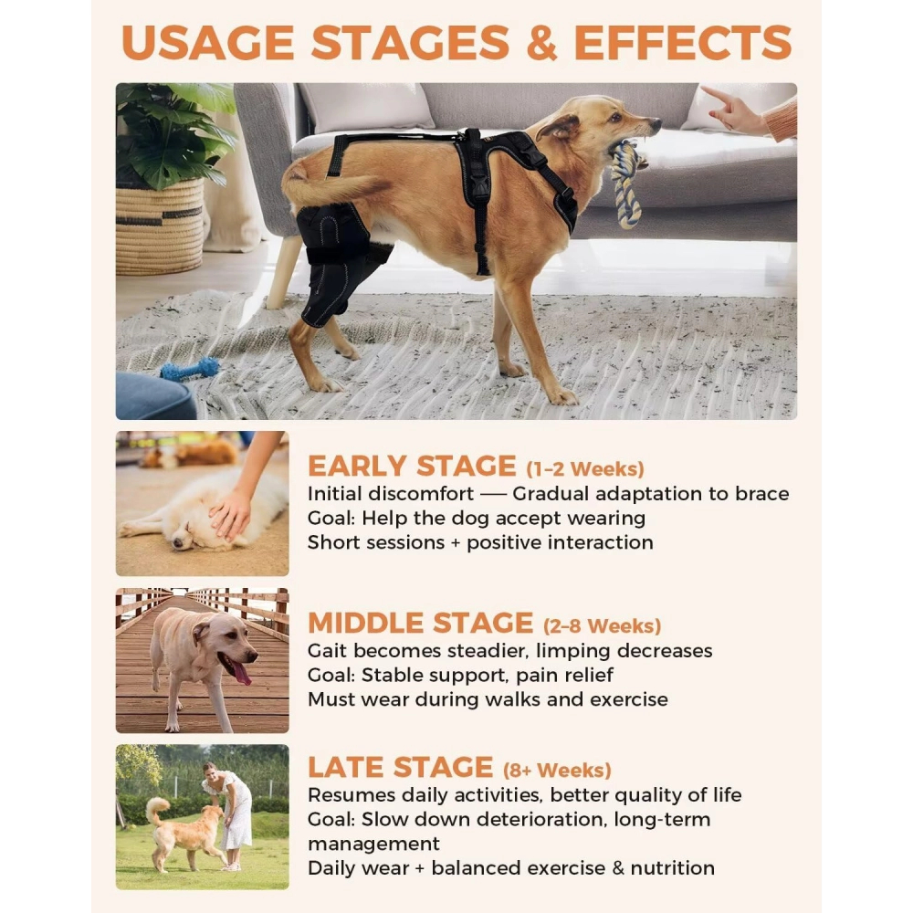 Updated Dog Knee Brace for ACL Injury with Reflective Trim