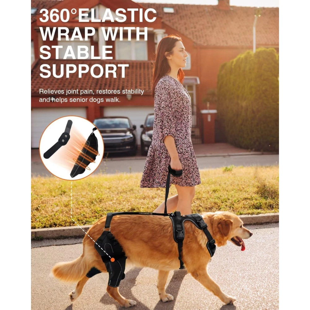 Updated Dog Knee Brace for ACL Injury with Reflective Trim