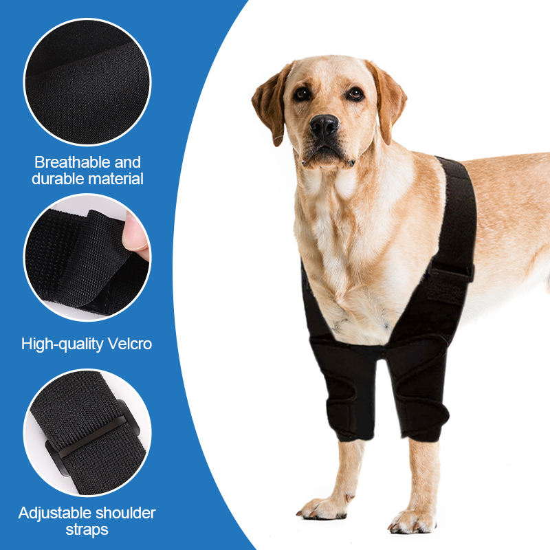 Dog Front Elbow Brace