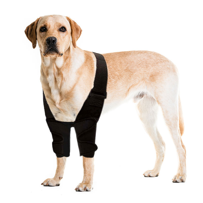 Dog Front Elbow Brace