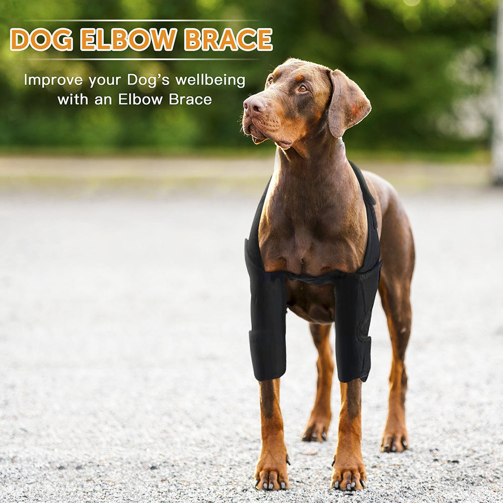 Dog Front Elbow Brace