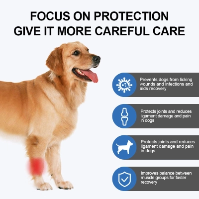 Dog Front Elbow Brace 02