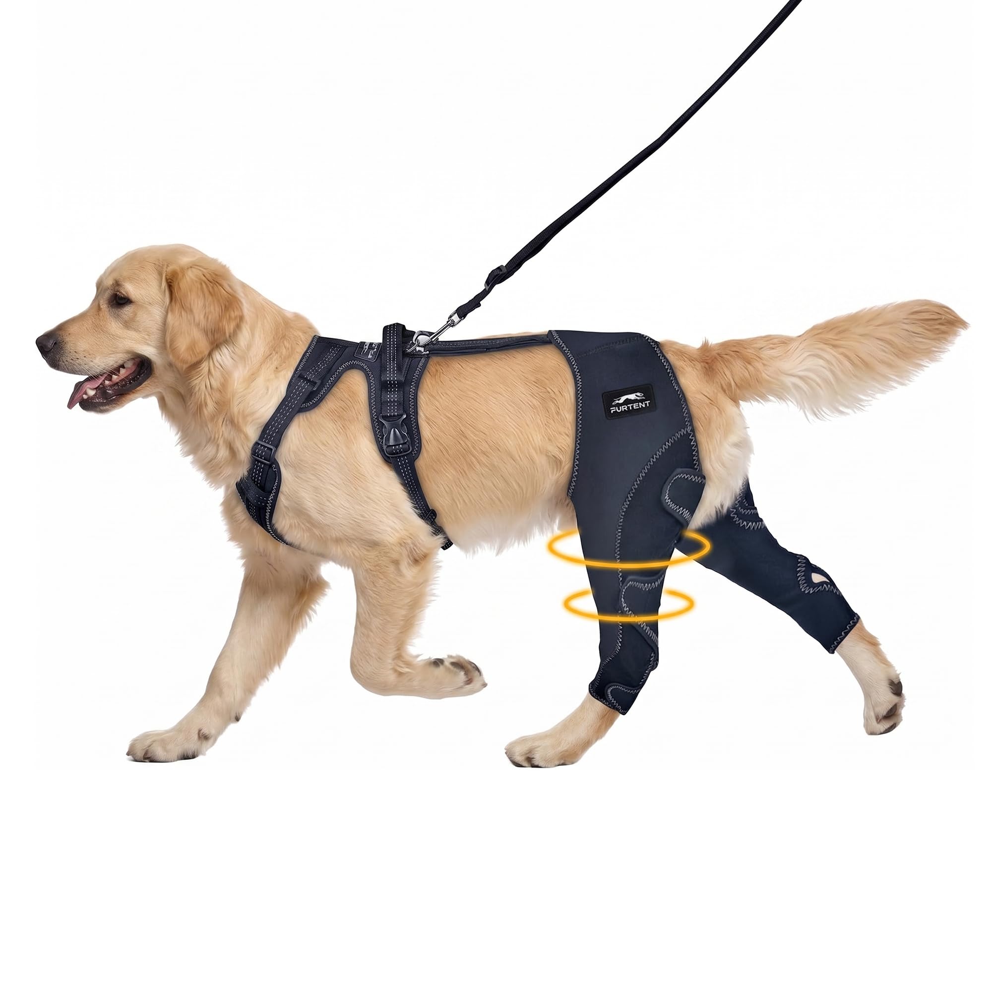 Dog Knee Brace for Torn ACL Hind Leg Support