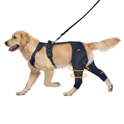 Dog Knee Brace for Torn ACL Hind Leg Support 01