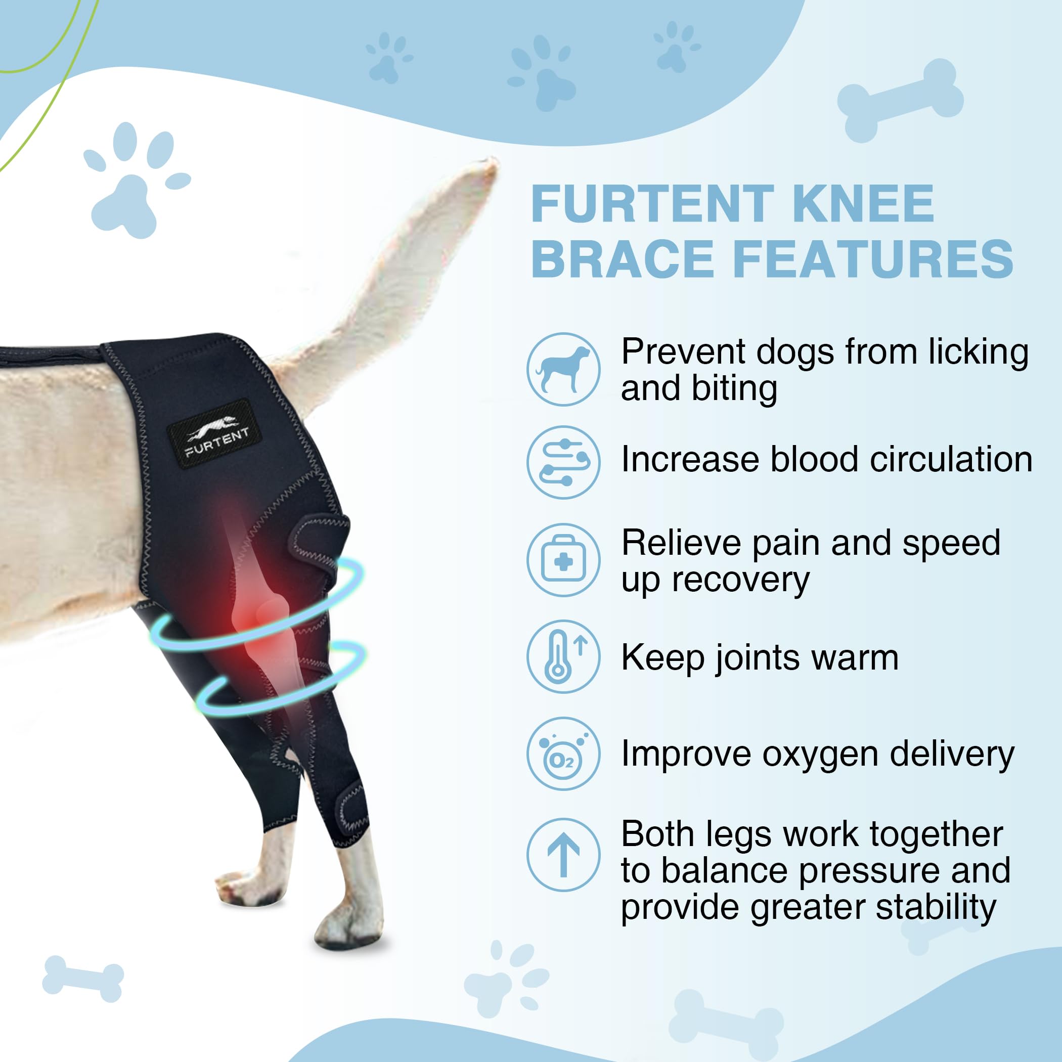 Dog Knee Brace for Torn ACL Hind Leg Support