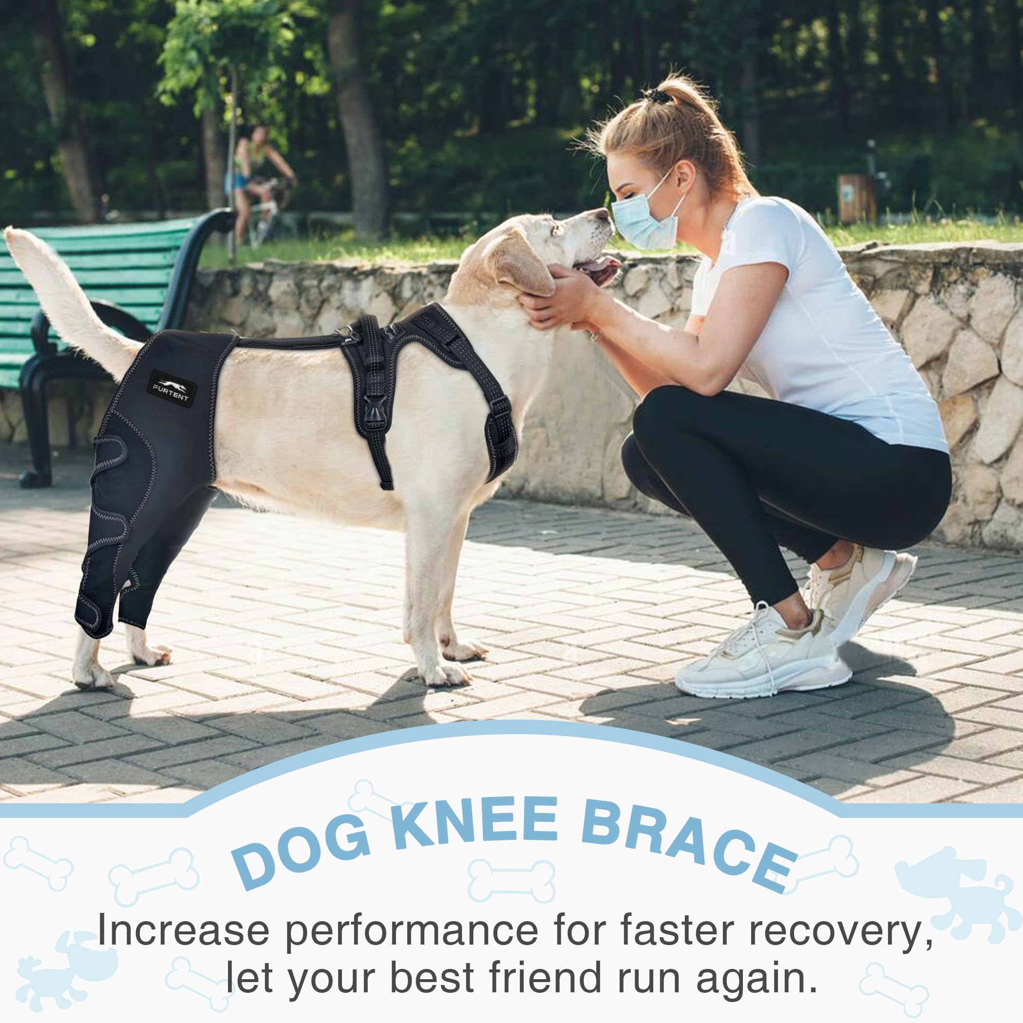 Dog Knee Brace for Torn ACL Hind Leg Support