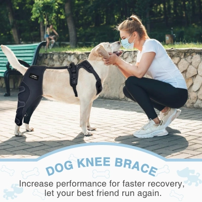 Dog Knee Brace for Torn ACL Hind Leg Support 02