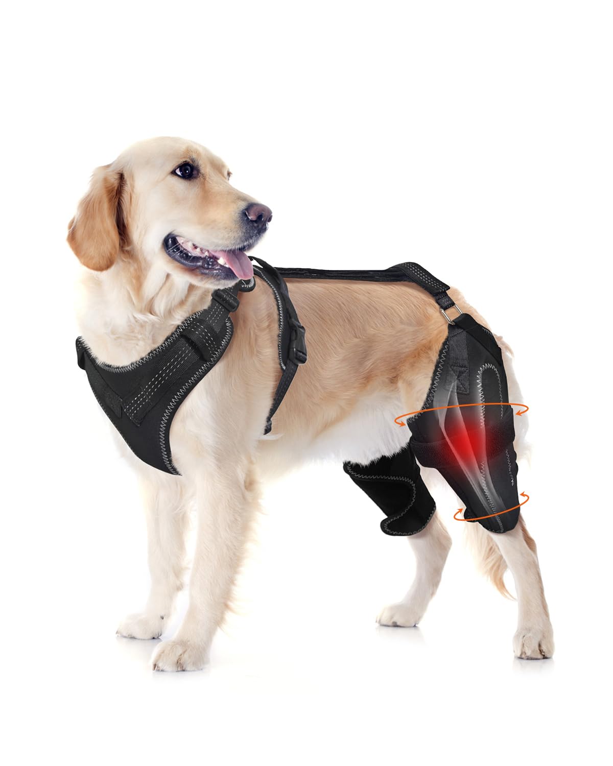 Dog Knee Brace for Rear Leg Support 
