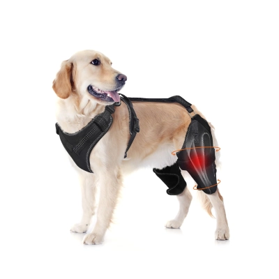 Dog Knee Brace for Rear Leg Support  01