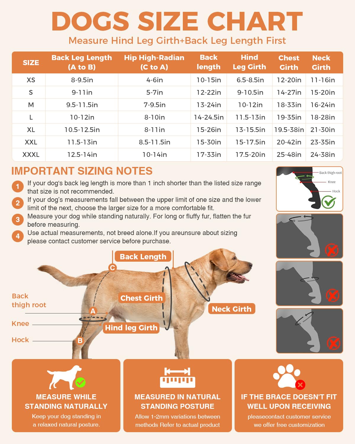 Dog Knee Brace for Rear Leg Support 