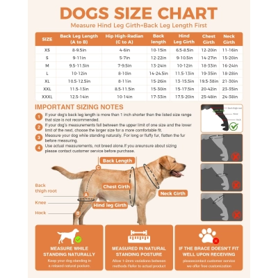 Dog Knee Brace for Rear Leg Support  02